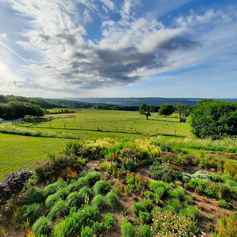 Vue du gîte