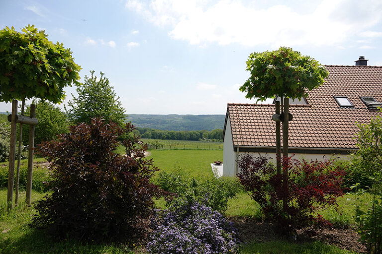 View from the gîte